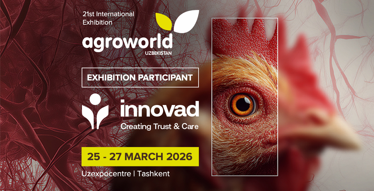 Innovad® — Official Partner