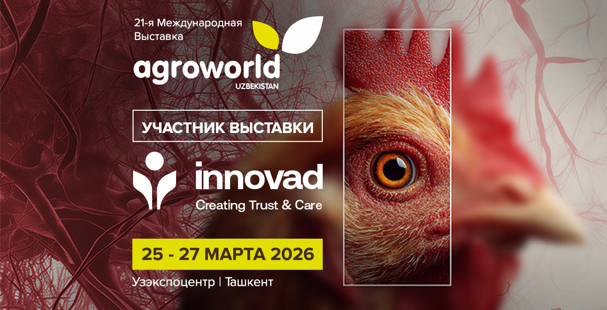 Innovad® — Official Partner