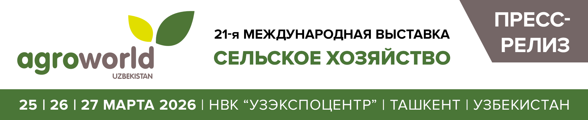 Главный баннер